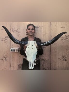 NEW IN PACKAGING 💀 GENUINE LONGHORN STEER BULL SKULL & BLACK HORNS WALL DECOR